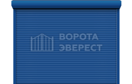 Рольставни гаражные ворота Дорхан 2500×1900 ВЭ-1879